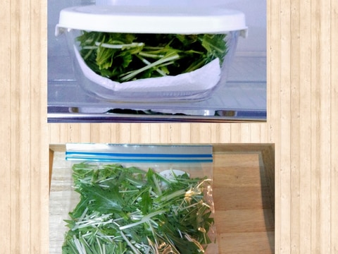 水菜の保存方法(冷蔵・冷凍)